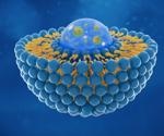 Programming DNA Robots to Prod Cell Membranes