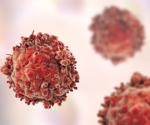 Experts trigger apoptosis in leukemia cells by disrupting their energy maintenance mechanism