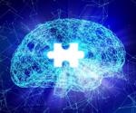 Study discovers common genetic factors between depression and Alzheimer’s disease