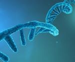 From Test Tube to Cell; Creating Biological Computers from RNA