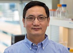 Plant biologists determine molecular ‘blueprint’, shows how plants observe light
