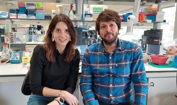 Scientists recognize neuronal processes that regulate food cravings during pregnancy