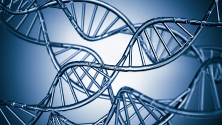 Transposons are a potential antibiotic resistance, a study reveals