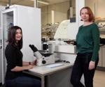 Single-molecule analysis to study how tetraploid cells replicate DNA from diploid cells