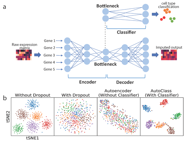 Researchers develop a universal AI algorithm for deep clean-up of single cell genomic data