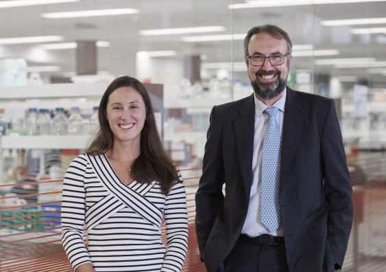 Researchers use CRISPR gene editing tool to analyze globin gene switching
