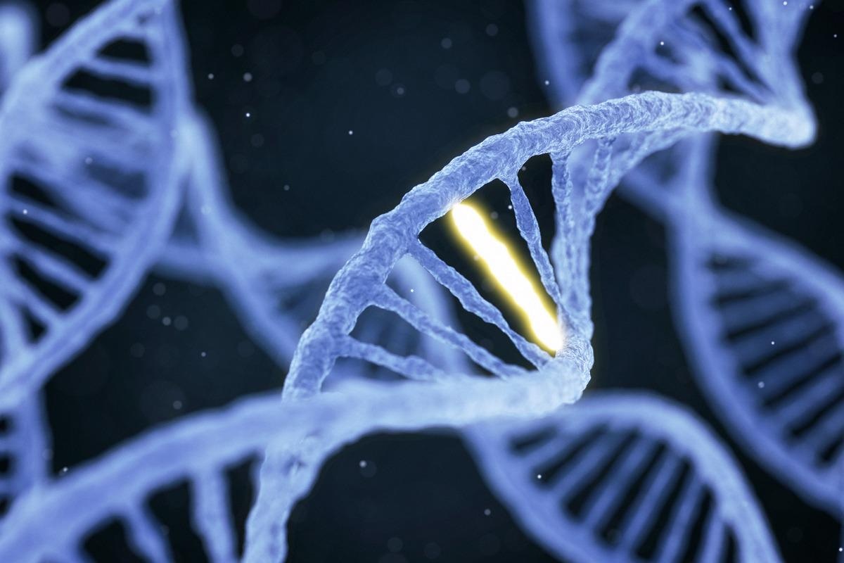 Image Credit: Konstantin Faraktinov/Shuterstock