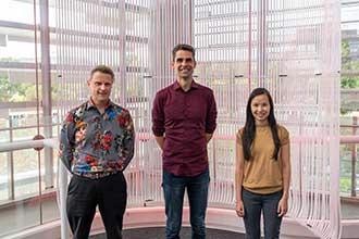 Researchers identify a way to accelerate ‘handbrake’ immune cells to remove disease faster