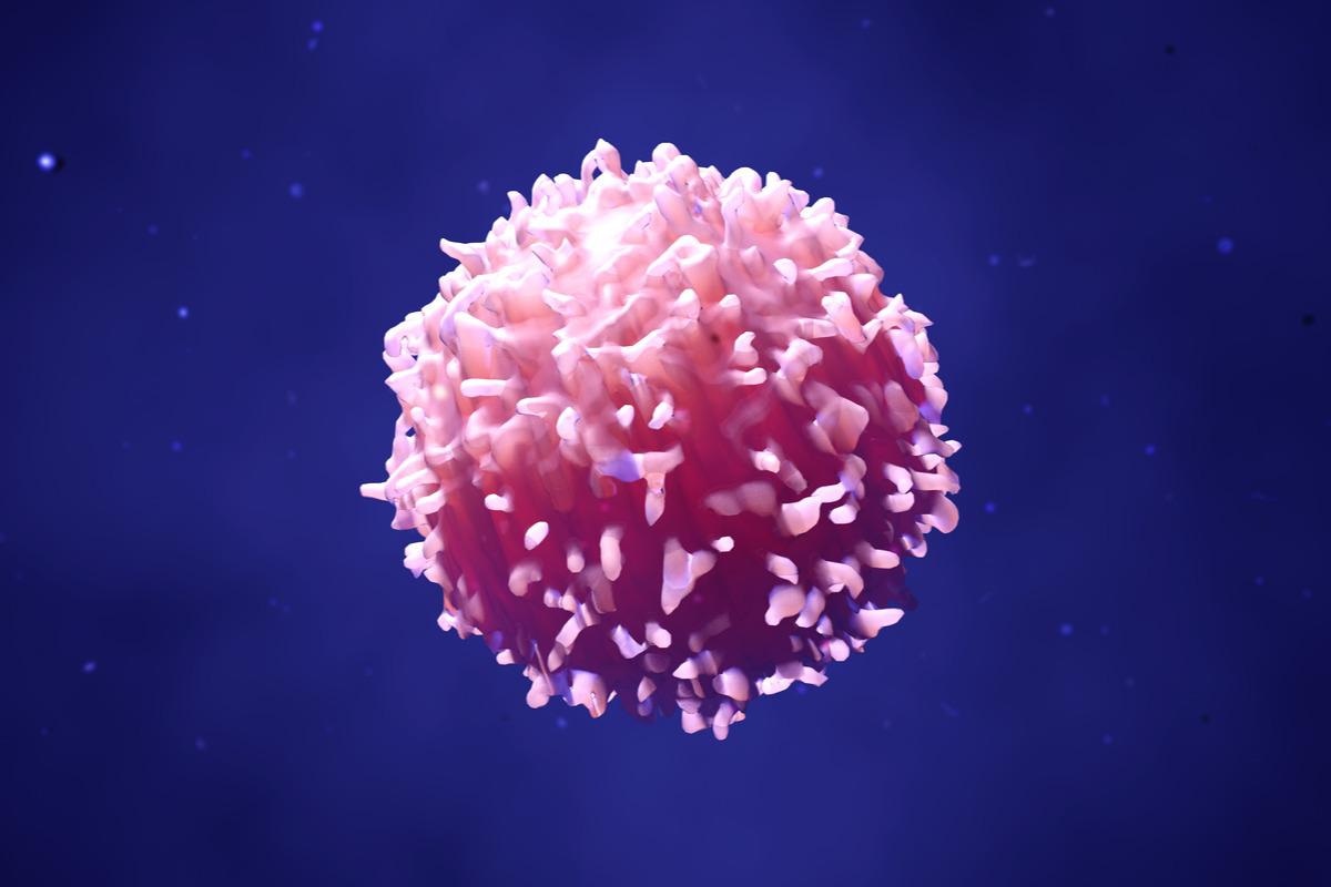 Image Credit: Design_Cells/Shutterstock.com
