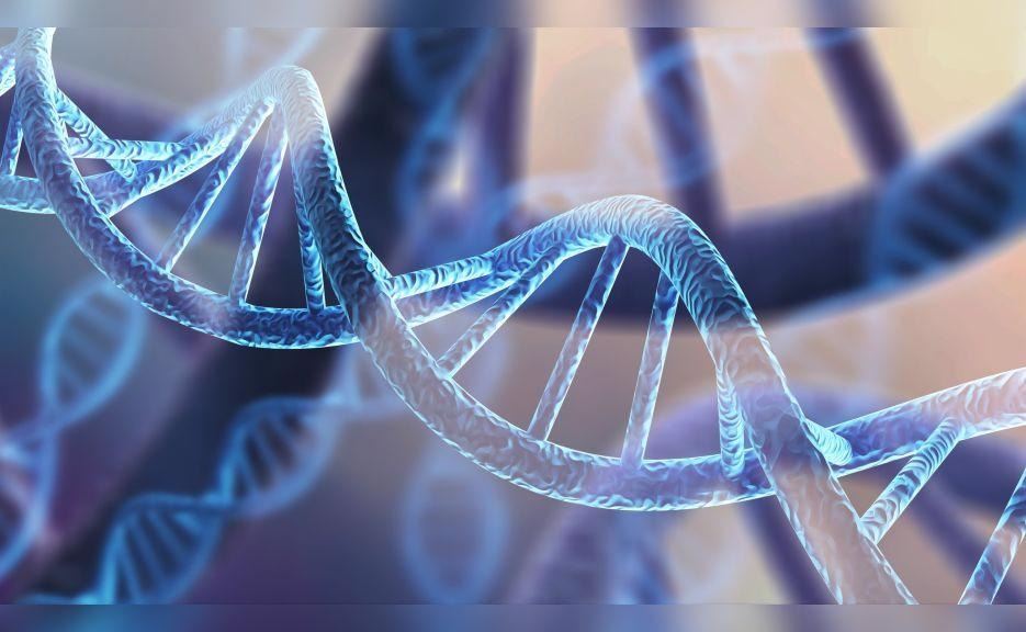 A new Yale study identifies a deeper understanding of cancer-relevant genes