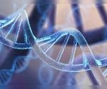 A new Yale study identifies a deeper understanding of cancer-relevant genes
