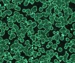 Researchers analyze the complex function of cyanobacteria and the regulation of the biological clock