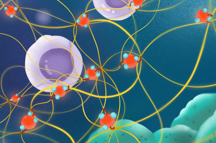 Study shows how potential target helps to treat lung disease induced by air pollution