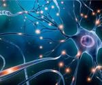 Researchers discover how new techniques may alter the synaptic connection of neurons