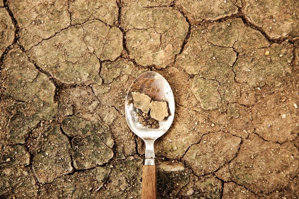 Food Crisis
