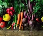 Researchers detect major contamination in organic vegetables, likely to cause fatal illness