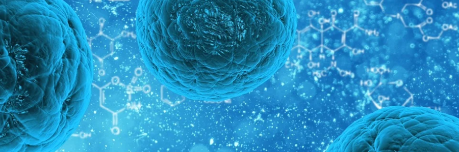 RNA binding proteins in T cells help generate an effective immune response