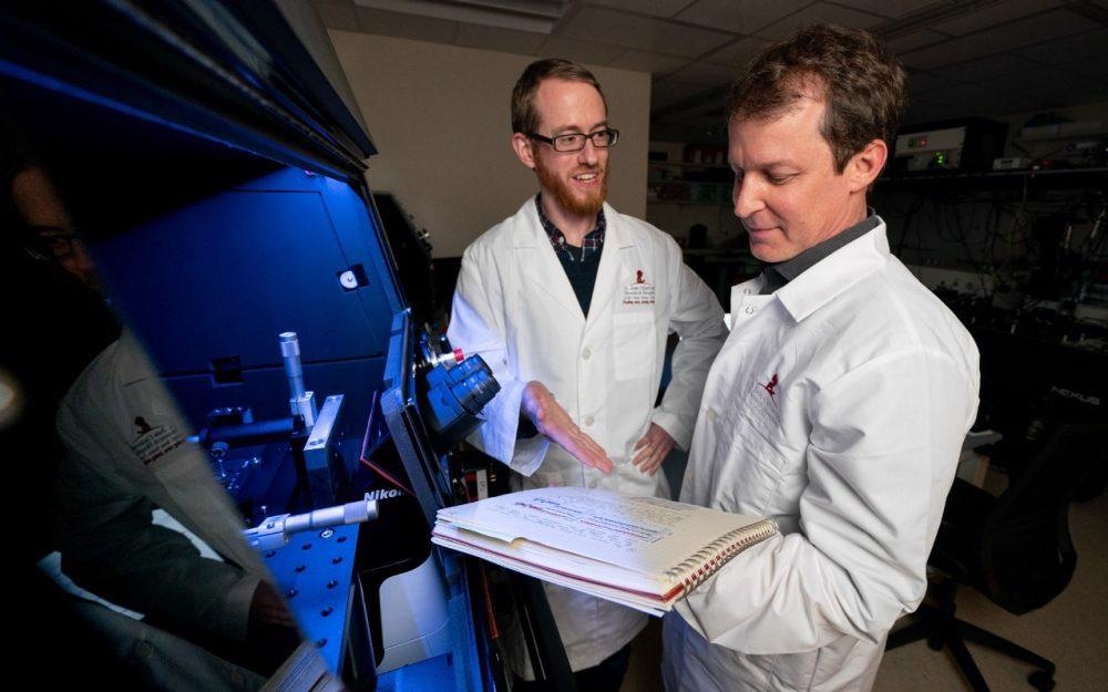 Study shows how G protein-coupled receptors signal helps drug development