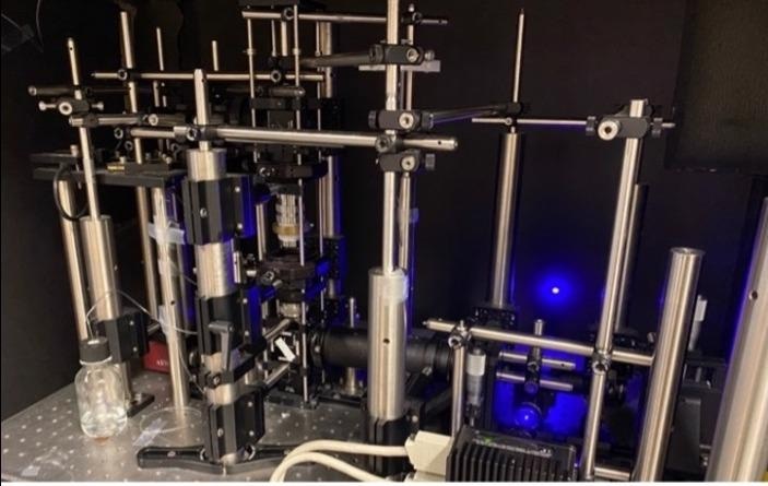 Scientists get a clearer and more accurate image of proteins