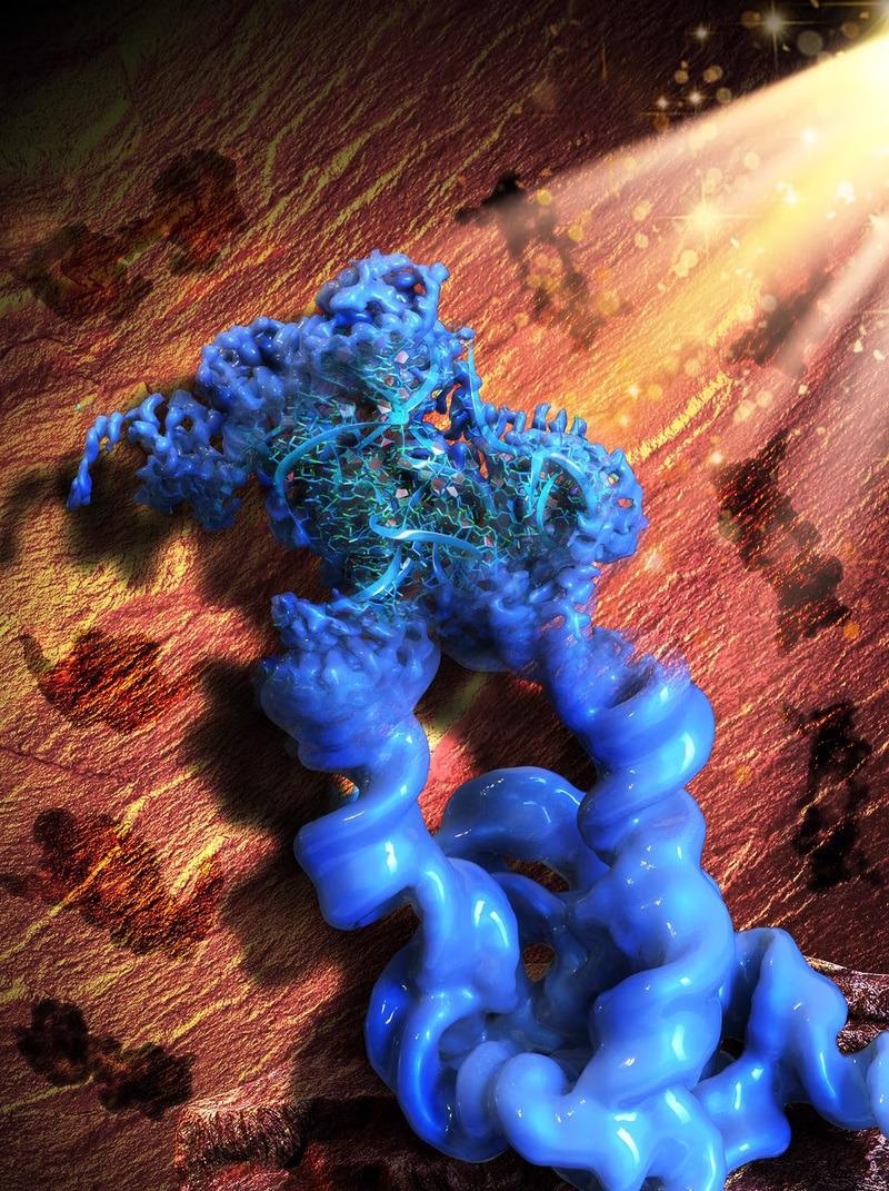 Study shows how nanotechnology may help for structural research of RNA molecules