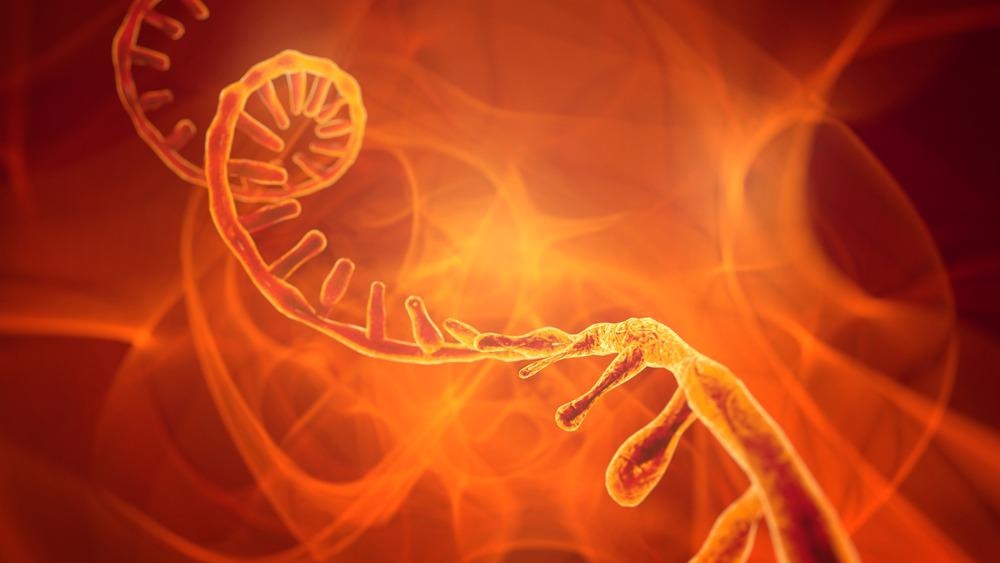 RNA