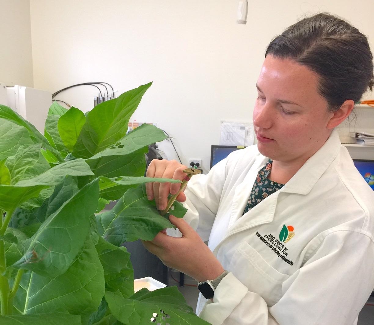 Researchers study the impacts of high carbon dioxide channels in plant membranes