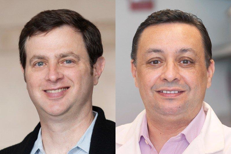 Research shows how visible hotspots may easy to target with immune-stimulating drugs