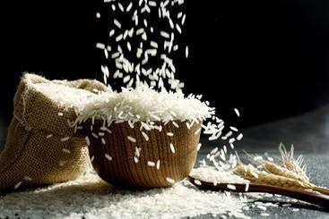 Researchers propose new methods to save the world’s most important crops