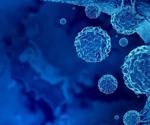 Research highlights a novel technique for cancer cells to repair DNA damage