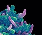 Research shows how current drugs impact bacterial physiology