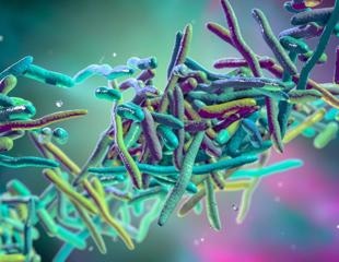 Researchers discover distinctive antibacterial therapy that uses visible light-activated synthetic molecular machine