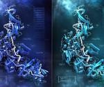 Researchers reveal that new compact version of Cas7-11 enzyme improves RNA editing