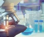 Researchers analyze the chemical and biophysical properties of protein corona