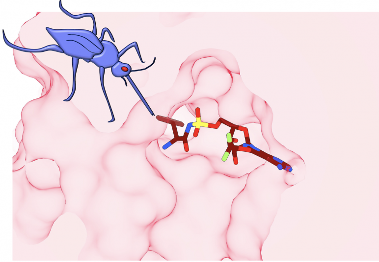 Researchers developed a weapon to combat drug-resistant malaria