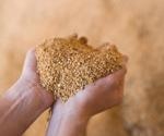 Researchers develop GenoBaits Soy40K to assist soybean breeding and genetic study