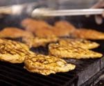 Researchers use conventional methods for salmonella detection