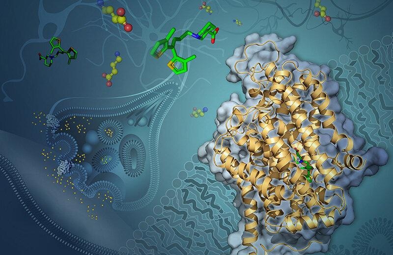 Researchers determine small protein’s structure, likely to pave the way for advanced treatments