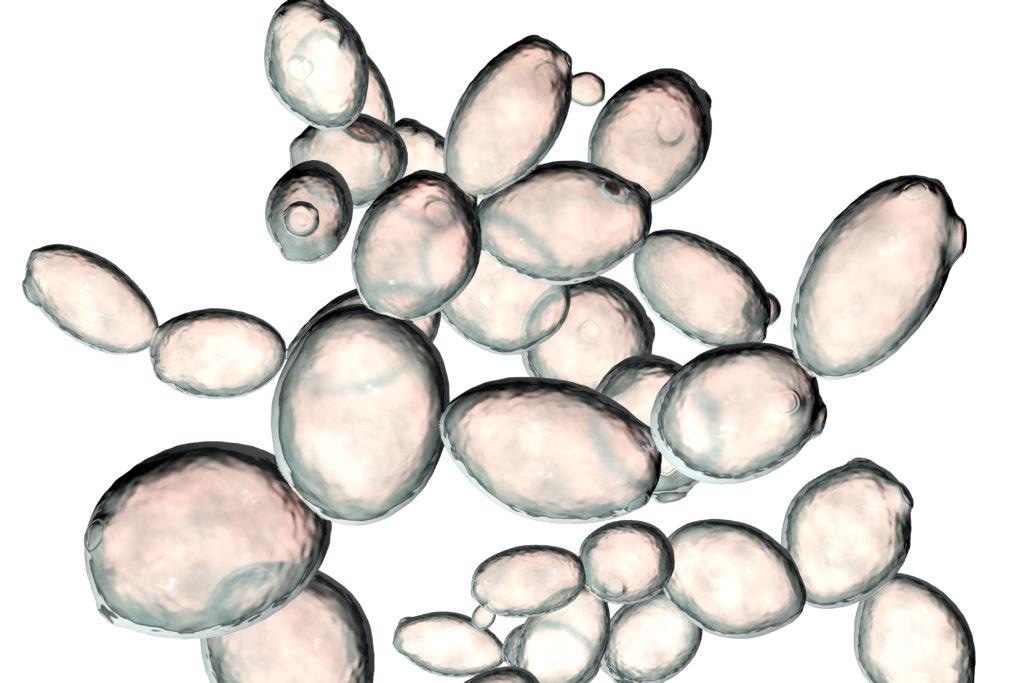 Scientists discover that most synonymous mutations are strongly harmful