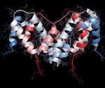 Researchers discover a new interferon-gamma receptor signaling pathway