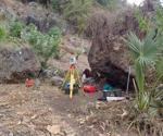 Researchers analyze ancient DNA cultural imprint in the pacific region