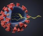 OTUD3 shows opposing effects in innate immunity to RNA and DNA viruses