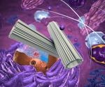 Researchers discover how the protein content of centrosomes may vary on cell type