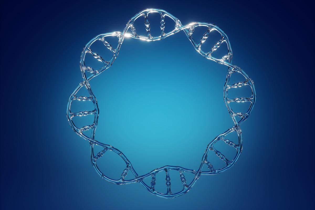 Image Credit: wacomka/Shutterstock.com