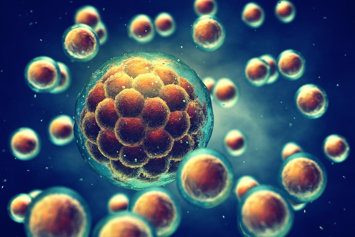 Image Credit: nobeastsofierce/Shutterstock.com