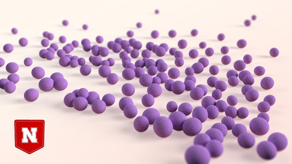 Researchers reveal how blood serum impacts the survival and metabolism of bacteria