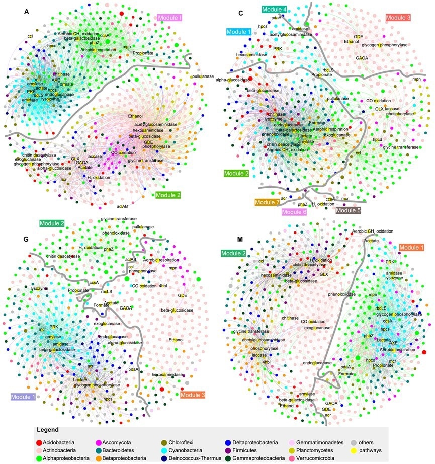 Researchers examine successional difference in biocrusts as well as their relationships with microbial ecosystems