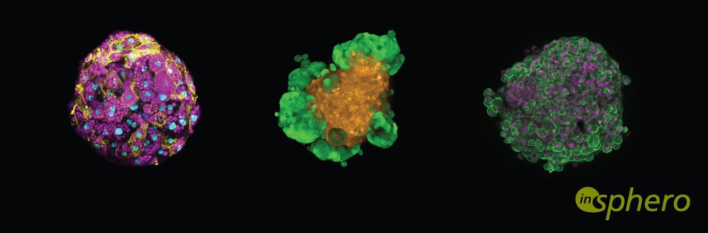 Spheroids