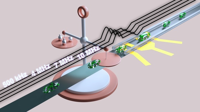 Easy determination method for the electrical penetration of cell membrane