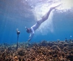 Monitoring Coral Reef Restoration with Artificial Intelligence