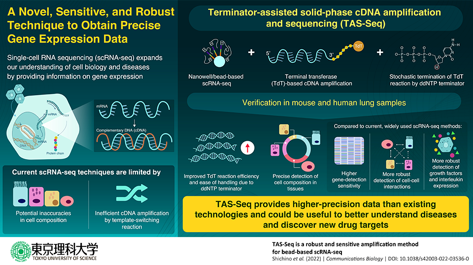 Study shows how new single-cell RNA-sequencing helps to analyze gene expression